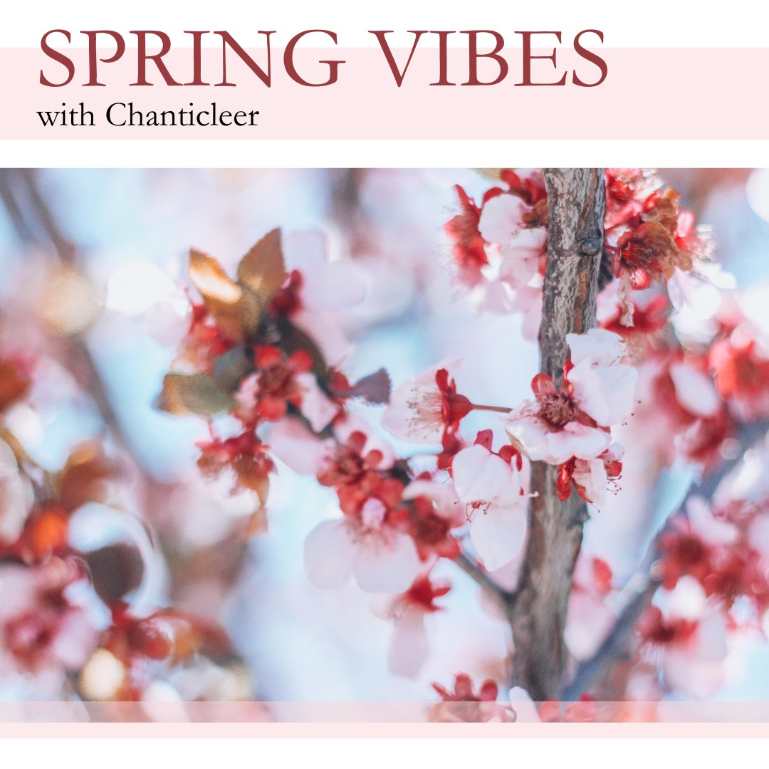 Happy Spring! It's time to freshen up your music rotation and we're here to help.  

Listen to the playlist 🎶 🎧 🌸 spoti.fi/4kGNCT8