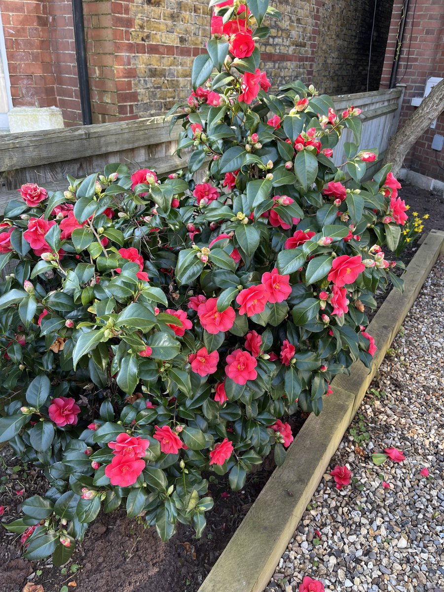 Ursula Doyle tweet media