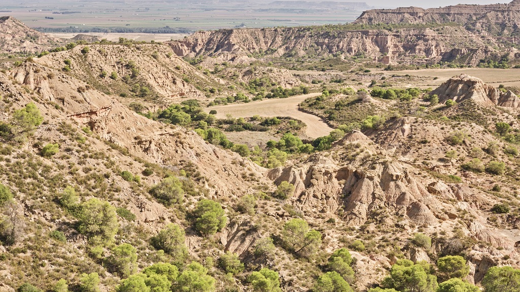 Alejandro tweet media