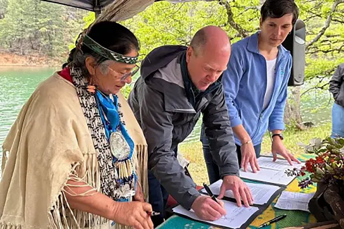 An unlikely partnership between the Winnemem Wintu tribe and California state and federal agencies is revitalizing winter-run chinook salmon spawning efforts in the McCloud River.

Read more at the link: environment.ucdavis.edu/news/collabora…