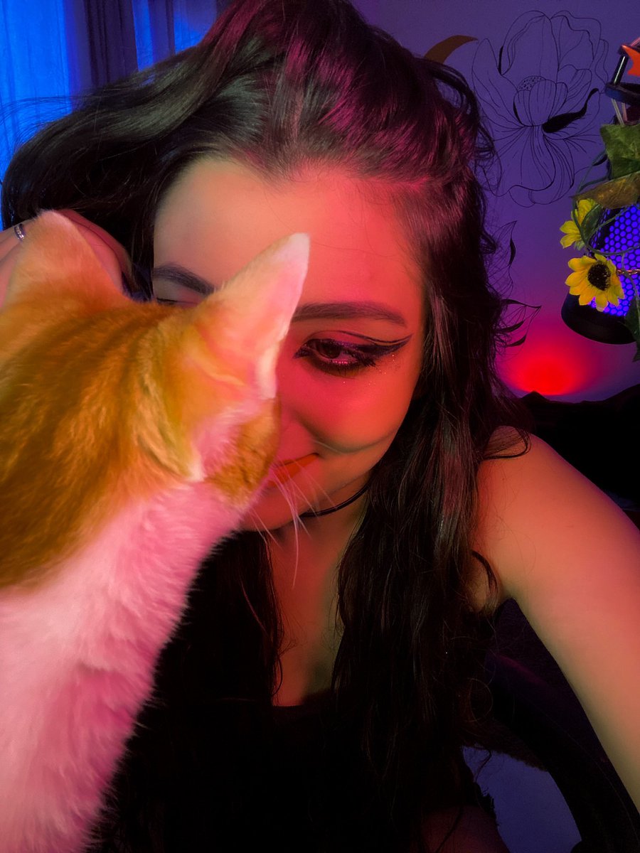 I found this photo today and I love it so much, cats make me happy aaaaaaa

How about you send me cat pictures in the comments? Spread the cat love plis