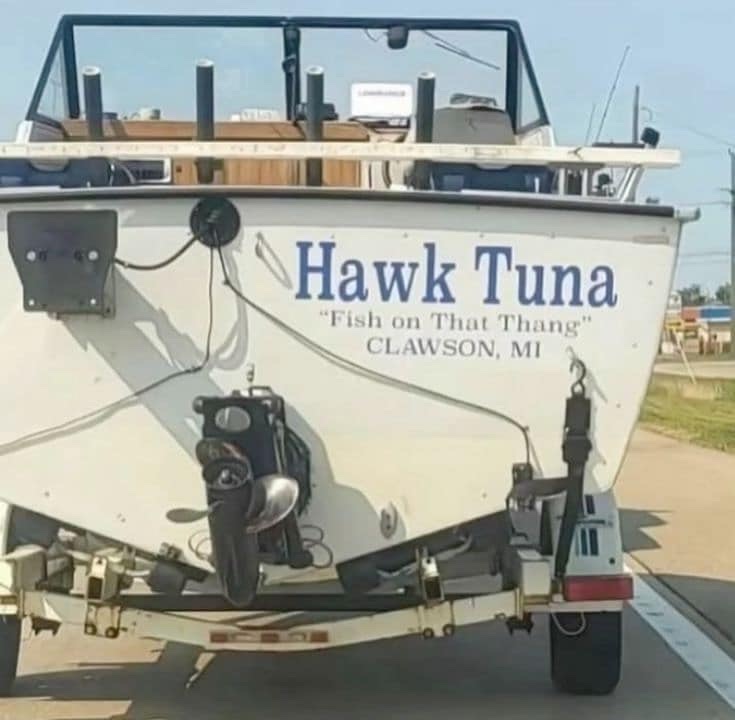 Patrick McCarthy (@patrickmcc_rthy) on Twitter photo asking my accountant if i can write my boat off as a marketing expense for <a href="/gone___fishing/">Gone Fishing Studio</a> asking my accountant if i can write my boat off as a marketing expense for <a href="/gone___fishing/">Gone Fishing Studio</a>