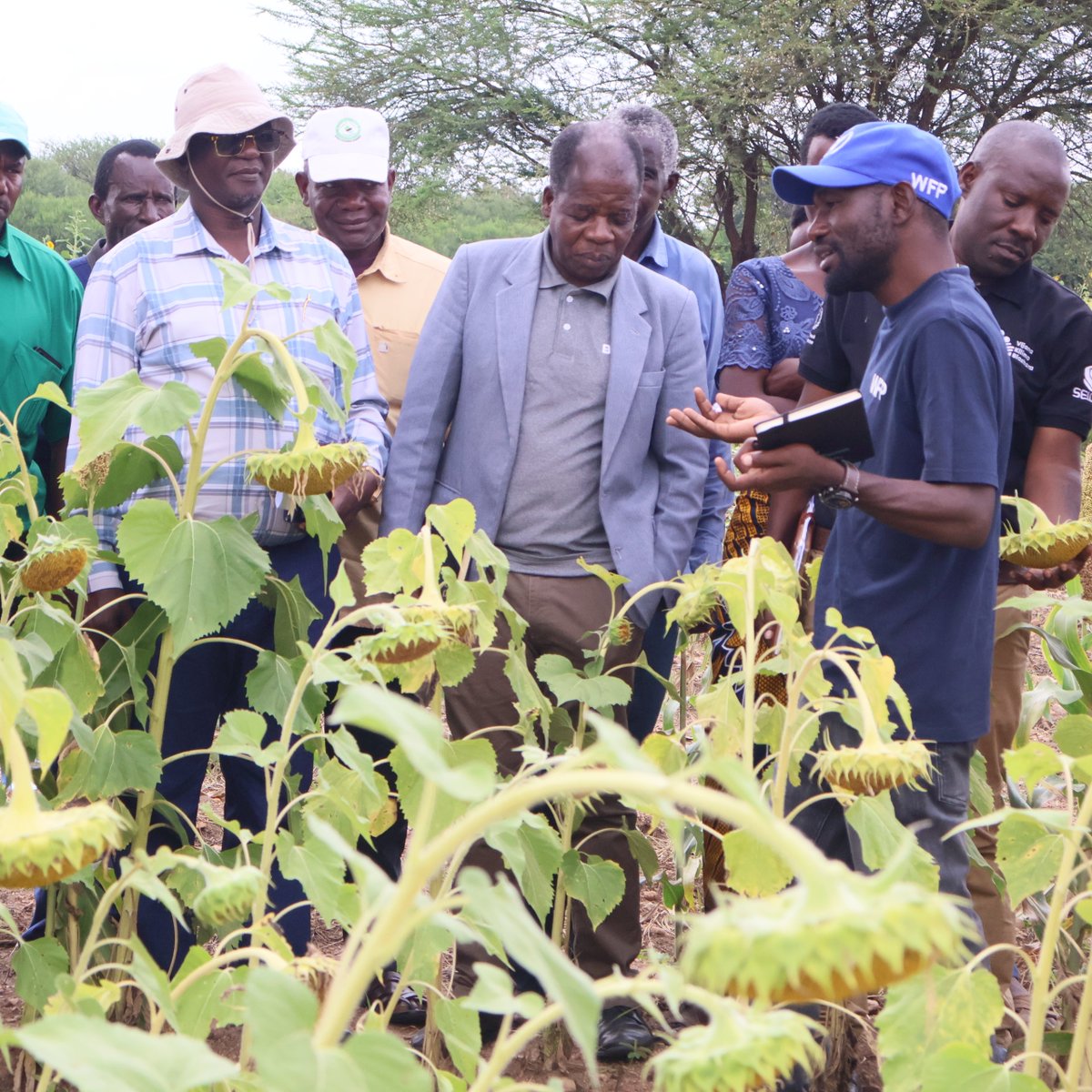 seida_tz's tweet photo. The Assistant Regional Administrative secretary accompanied by municipal council staff, WFP and SEIDA in conducting a visit access progress in agricultural sector achieved through VIJANA KILIMO BIASHARA PROJECT implemented by SEIDA https://t.co/QnhY4KQmhH