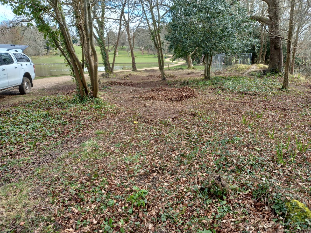 Chichester & District Archaeology Society (CDAS) tweet media