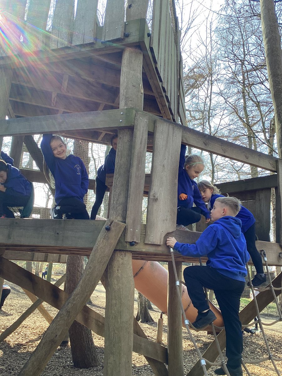 St Winefride's Catholic Primary Academy tweet media