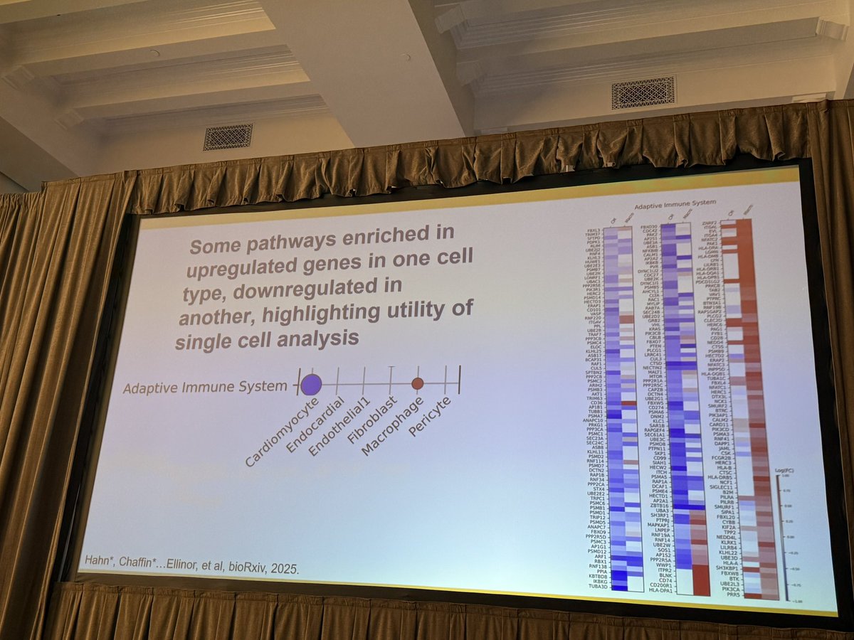 Eugenio Cingolani, MD (@eugeniocingolan) on Twitter photo Great talk by <a href="/virginiahahn/">Virginia Hahn</a> from <a href="/HopkinsMedicine/">Johns Hopkins Medicine</a> ➡️ snRNA SEQ in # HFpEF <a href="/HFpEFSummit/">HFpEF Summit</a> ➡️ Understanding molecular "footprints" at the cell level in humans to better direct #preclinical #research #scrnaseq #snrnaseq Great talk by <a href="/virginiahahn/">Virginia Hahn</a> from <a href="/HopkinsMedicine/">Johns Hopkins Medicine</a> ➡️ snRNA SEQ in # HFpEF <a href="/HFpEFSummit/">HFpEF Summit</a> ➡️ Understanding molecular "footprints" at the cell level in humans to better direct #preclinical #research #scrnaseq #snrnaseq