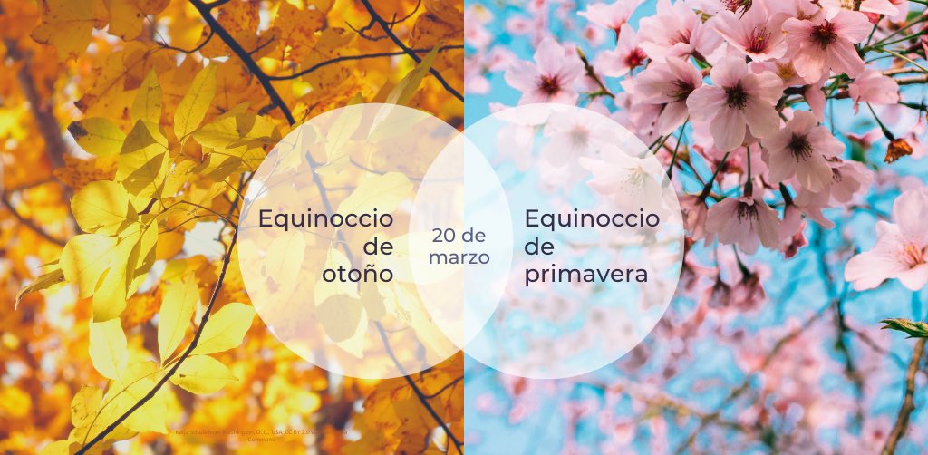 🍂 Bienvenido el otoño en Argentina 🇦🇷 
🌸 Bienvenida la primavera en Japón 🇯🇵