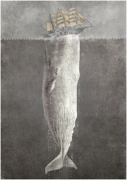 Pascal Leonard tweet media