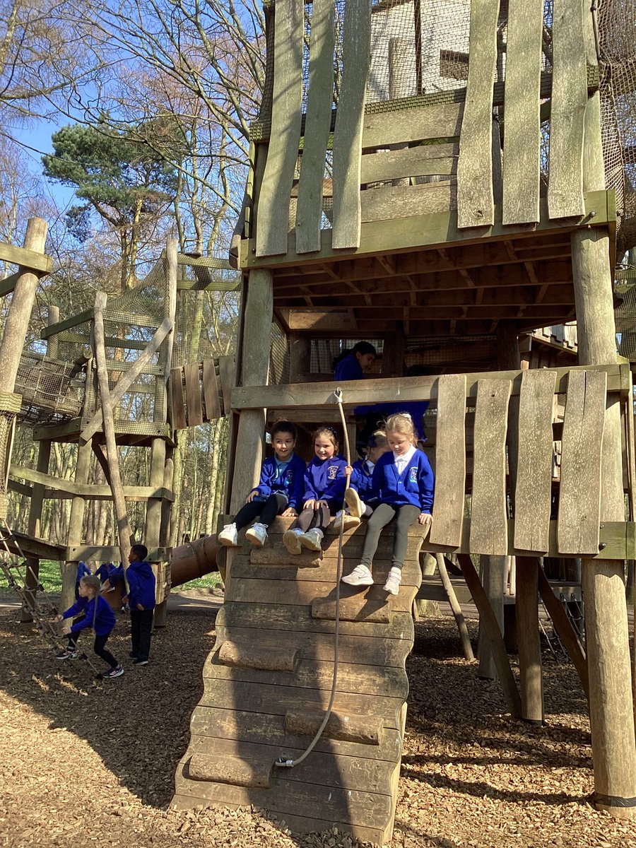 St Winefride's Catholic Primary Academy tweet media