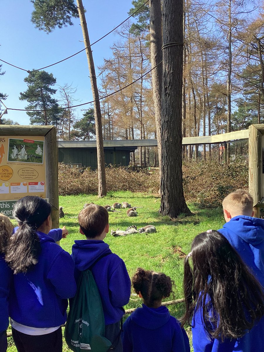 St Winefride's Catholic Primary Academy tweet media