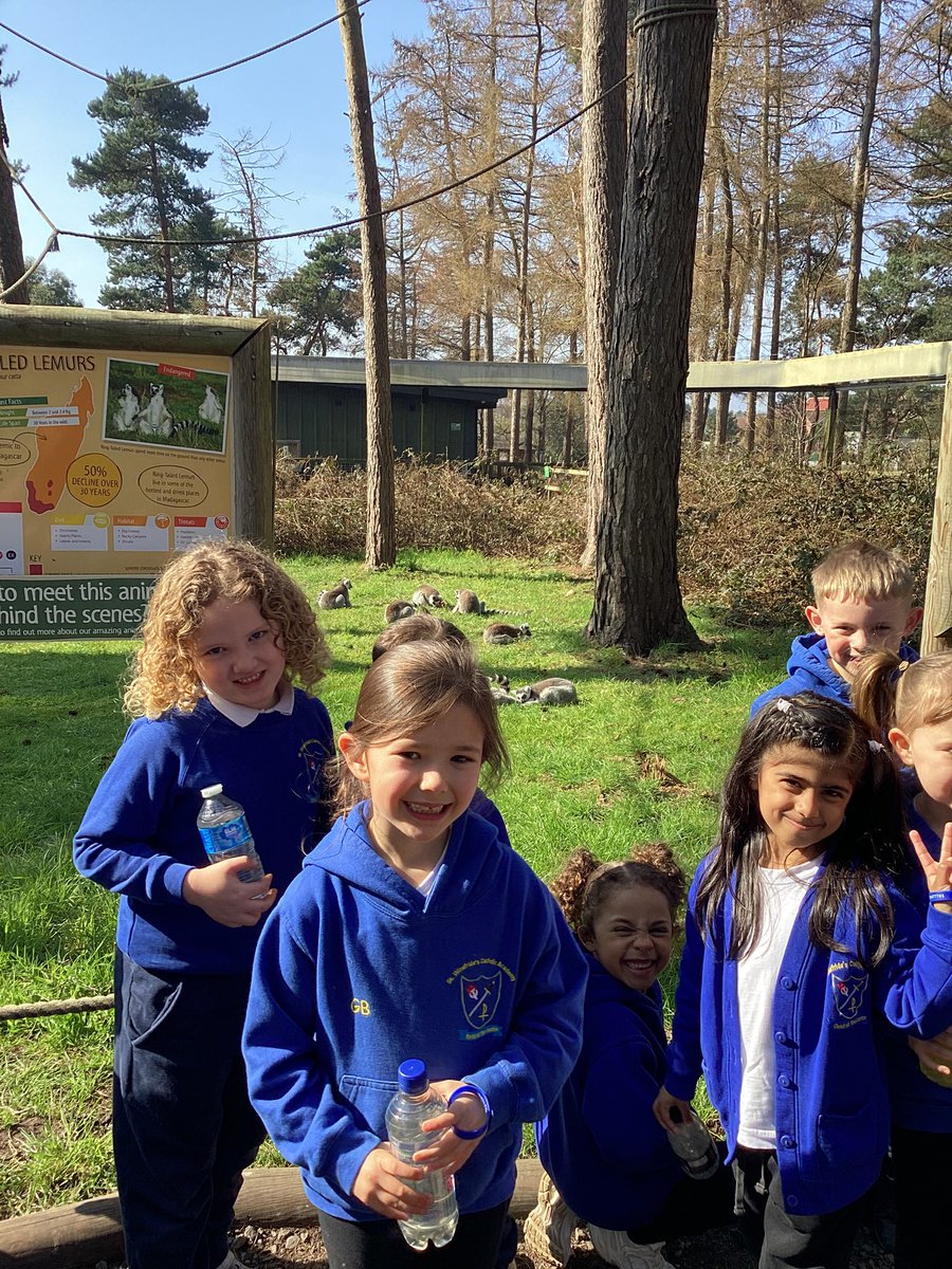 St Winefride's Catholic Primary Academy tweet media