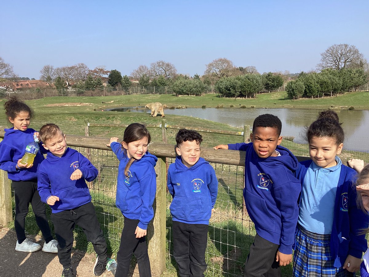St Winefride's Catholic Primary Academy tweet media