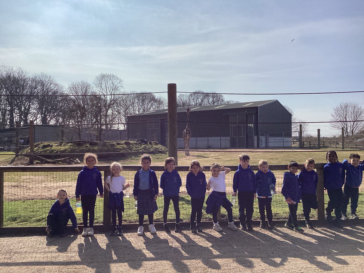 St Winefride's Catholic Primary Academy tweet media