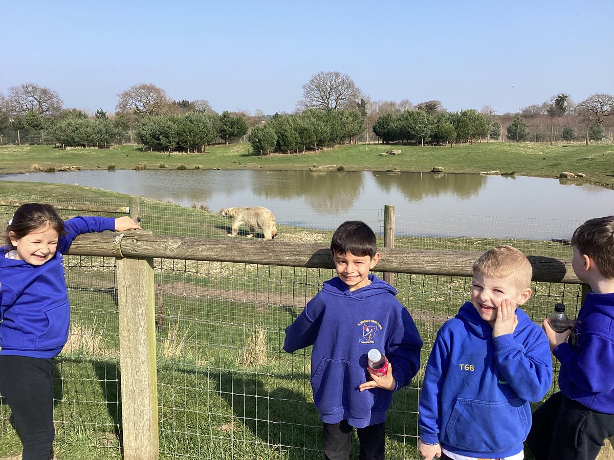 St Winefride's Catholic Primary Academy tweet media