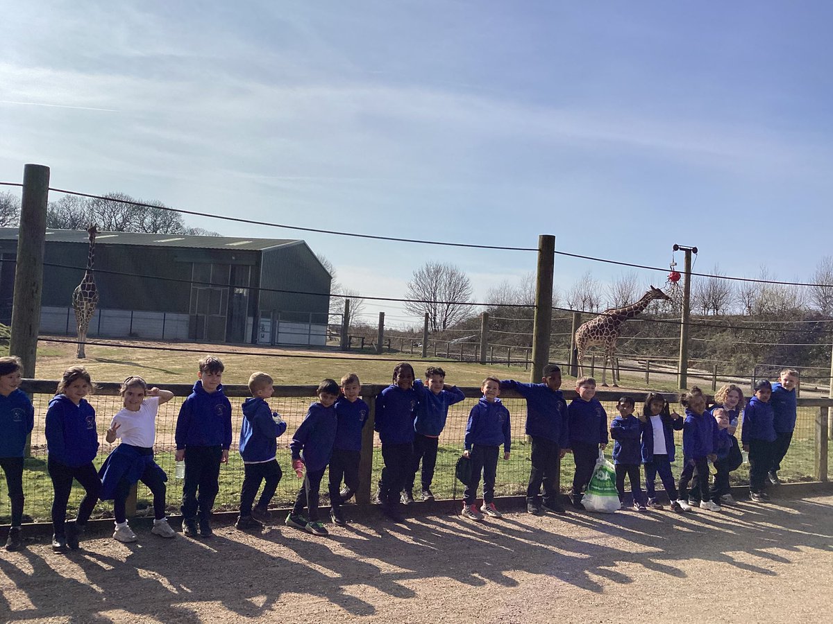 St Winefride's Catholic Primary Academy tweet media