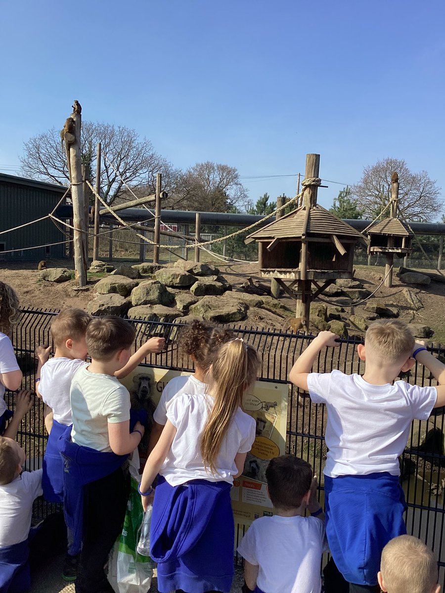 St Winefride's Catholic Primary Academy tweet media