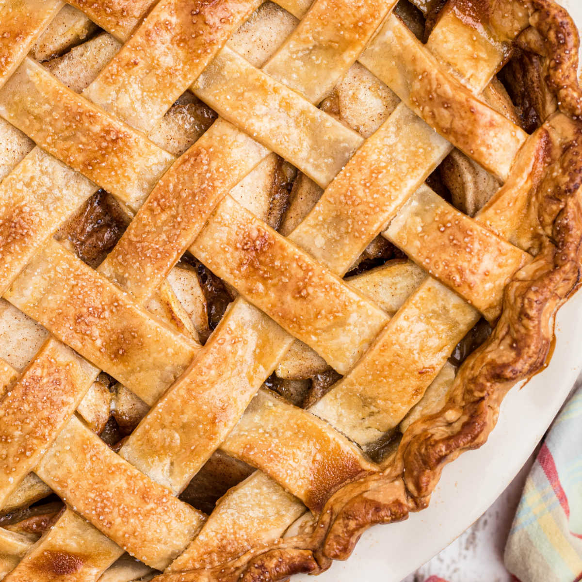 CagleDiaries's tweet image. Country Apple Pie Recipe: thecaglediaries.com/american-apple…
.
#applepie #traditionalapplepie #pierecipe