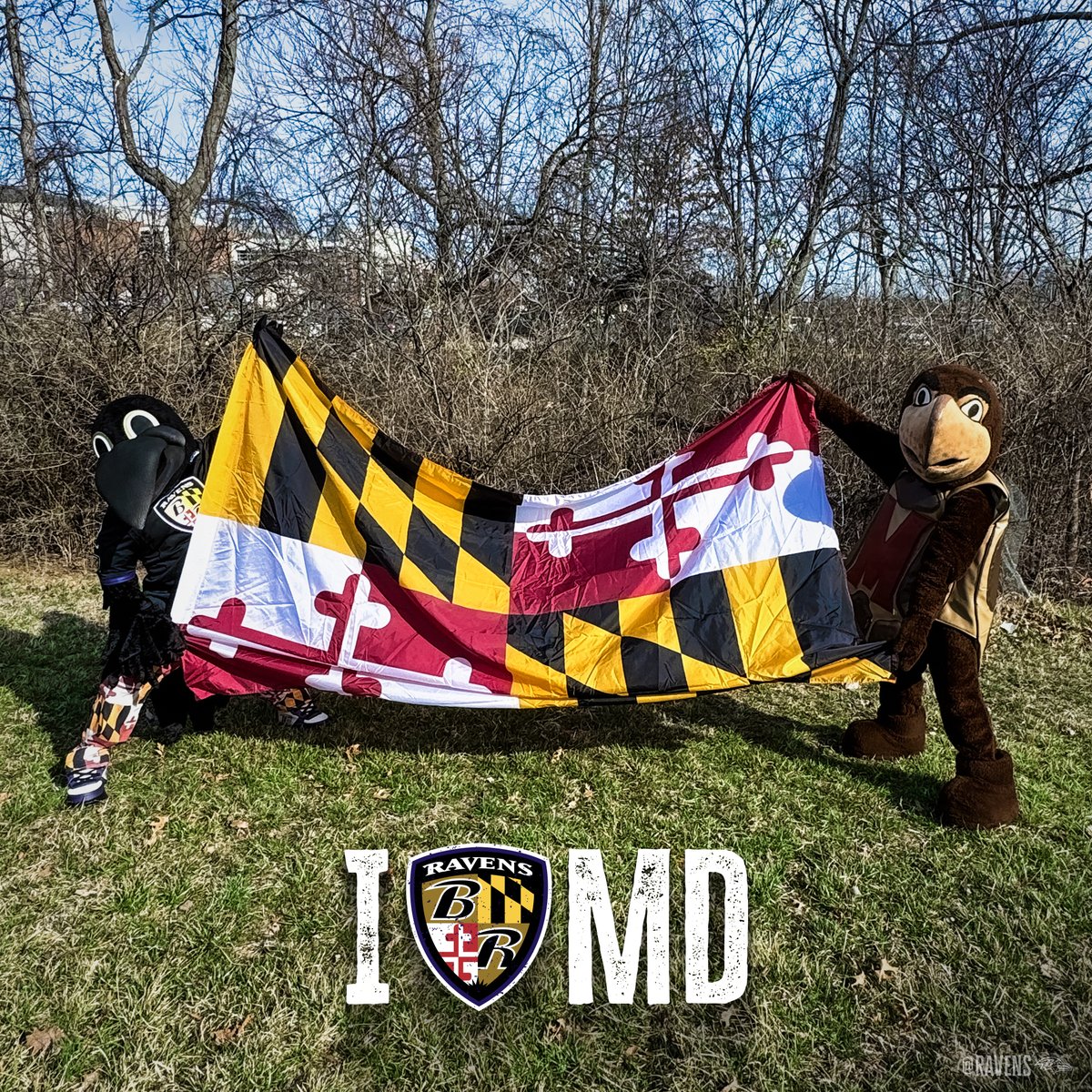 Happy Maryland Day!