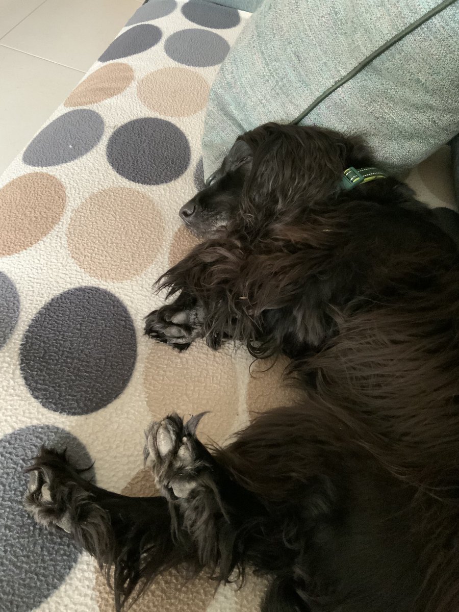 I’m back from my holidays with Aunty Sanne and boy am I tired 🥱😴