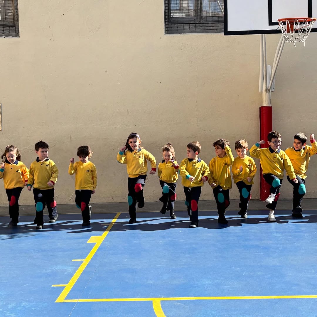 ✨ PDB: ¡Movimiento para Crecer y Aprender! ✨
Cada día, en Infantil, el Programa de Desarrollo Básico (PDB) es una pieza clave de nuestro aprendizaje. A través del juego y el movimiento, trabajamos habilidades fundamentales como:
🔹 Gateo y arrastre → Favorecen la coordinación