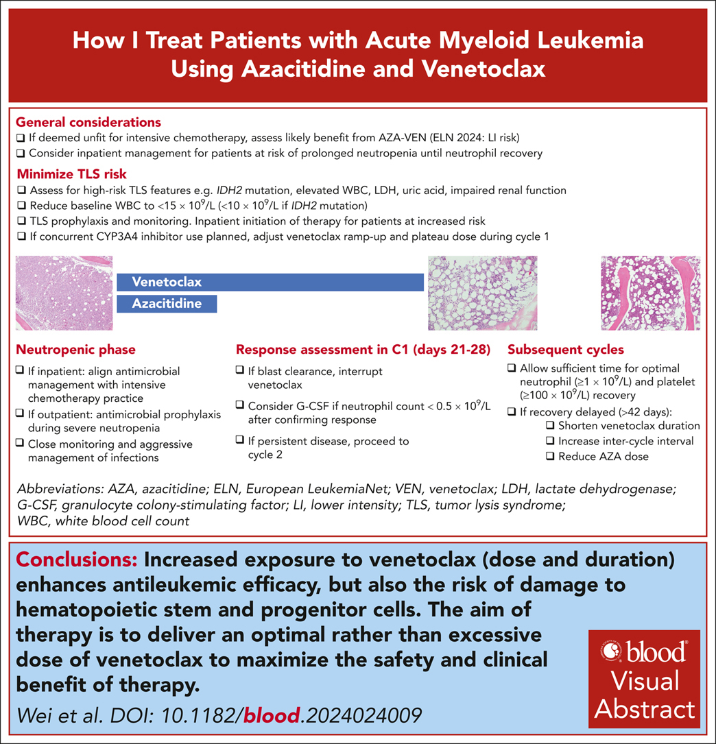 smbenlazar's tweet photo. How I treat patients with AML using azacitidine and venetoclax https://t.co/2A9WWPcyvk #AML #leusm https://t.co/M3nNykBj7O