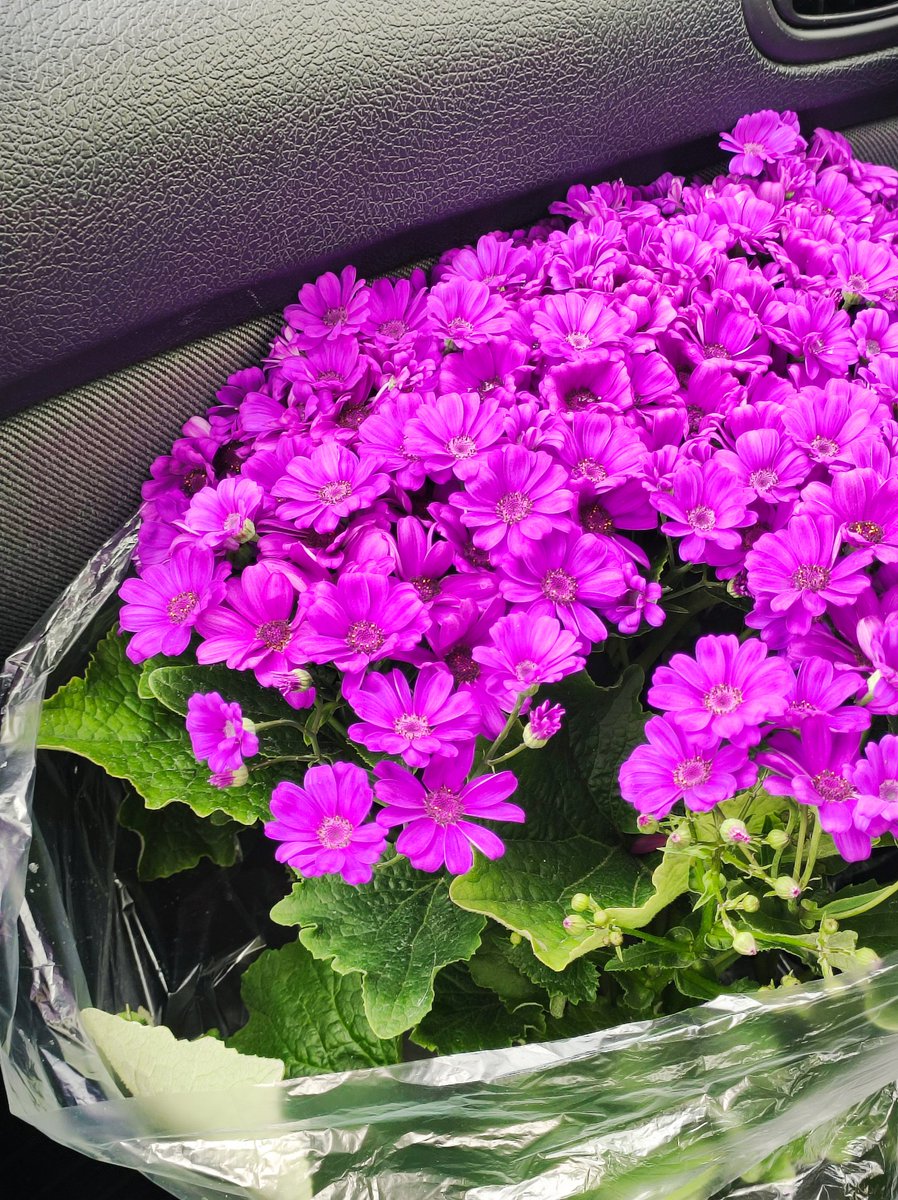 برآمد باد صبح و بوی نوروز
به کام دوستان و بخت پیروز
مبارک بادت این سال و همه سال
همایون بادت این روز و همه روز
#nowruz1404 🤍