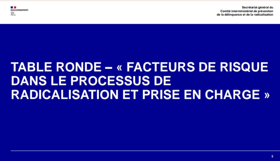 Face à la résurgence de radicalisation chez les jeunes, 2 nouvelles journées de formation <a href="/SG_CIPDR/">SG-CIPDR</a>. Focus sur les facteurs de risque actuels : santé mentale et souffrance psychologique; discours discursifs et portes d'entrée désinhibées des réseaux sociaux vers la radicalisation
