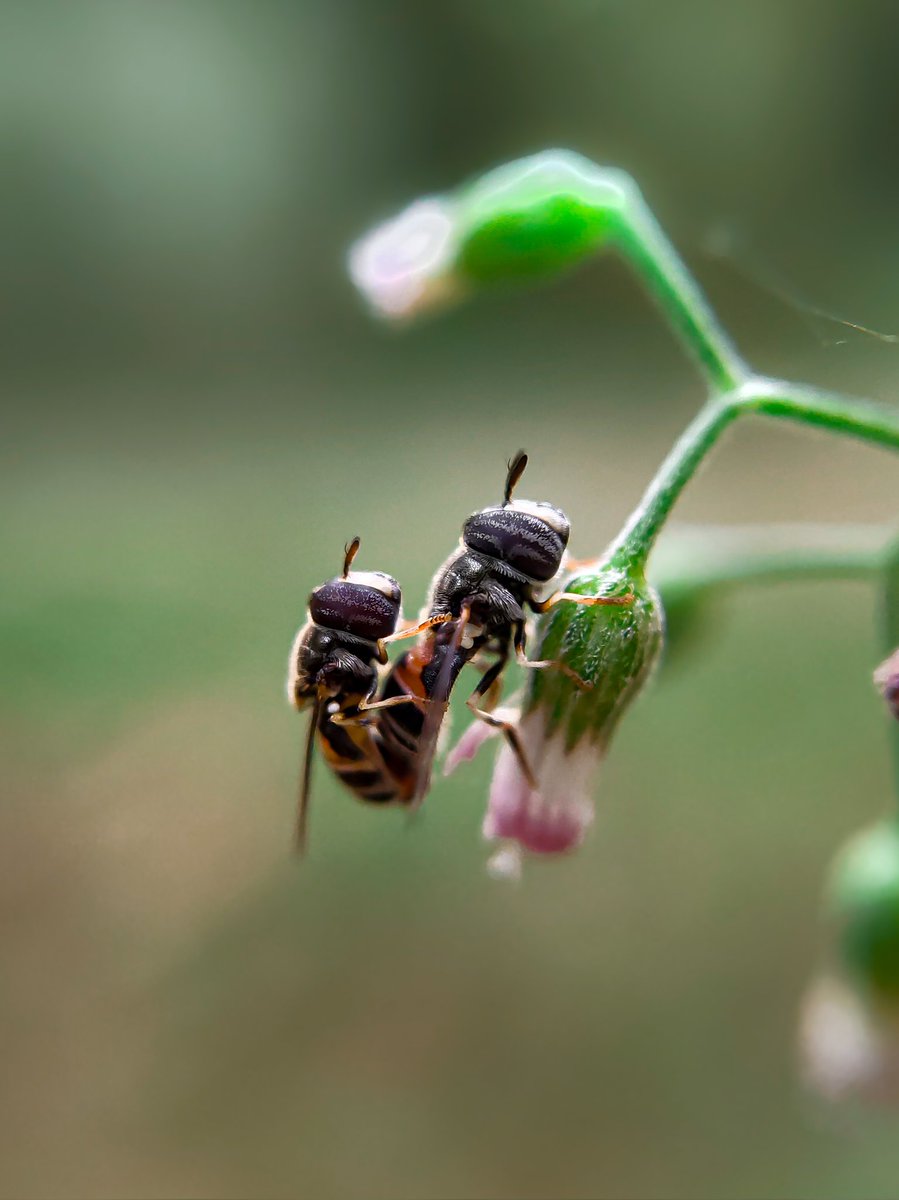 Rajesh R Kurup tweet media