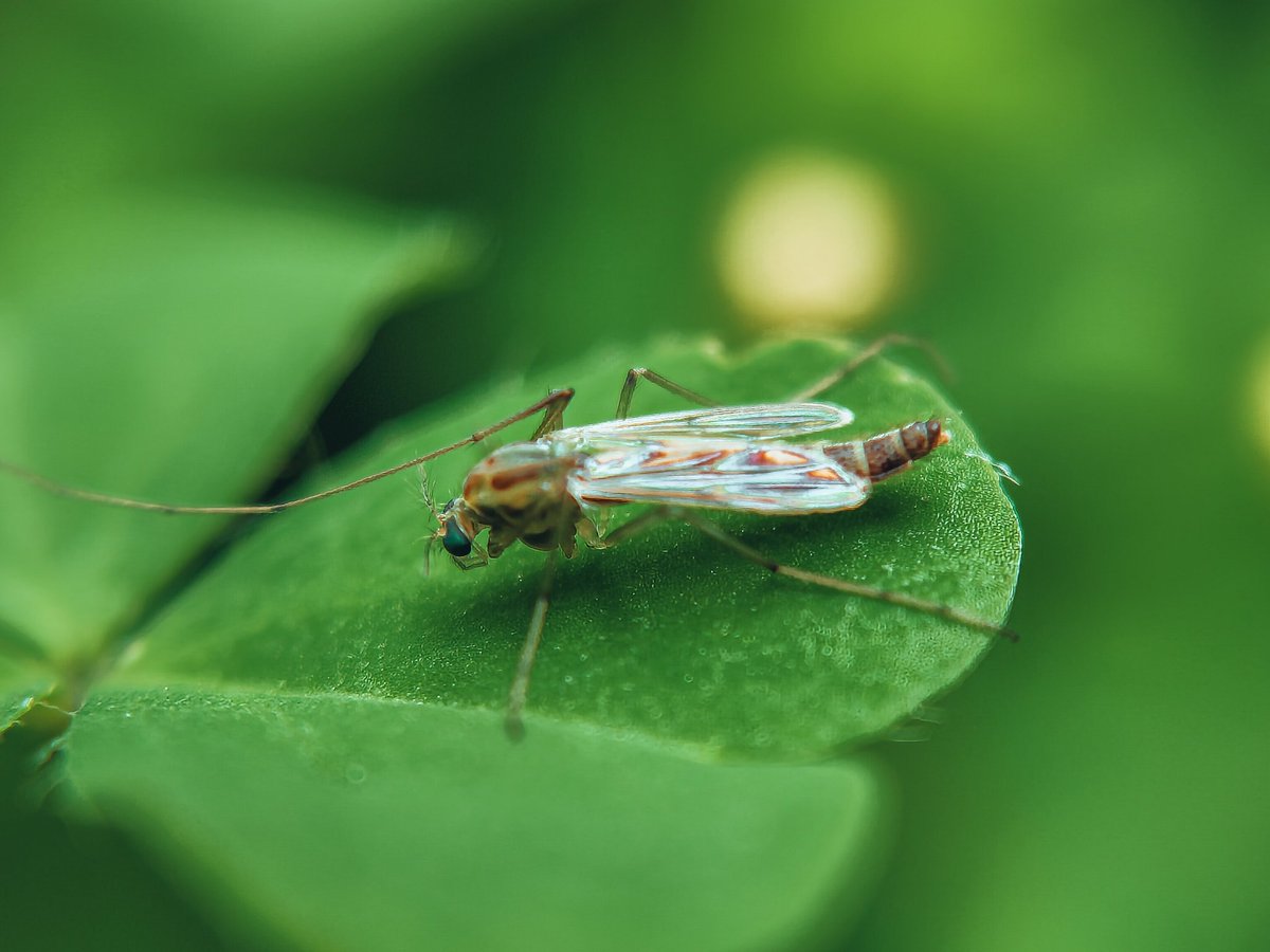 Rajesh R Kurup tweet media