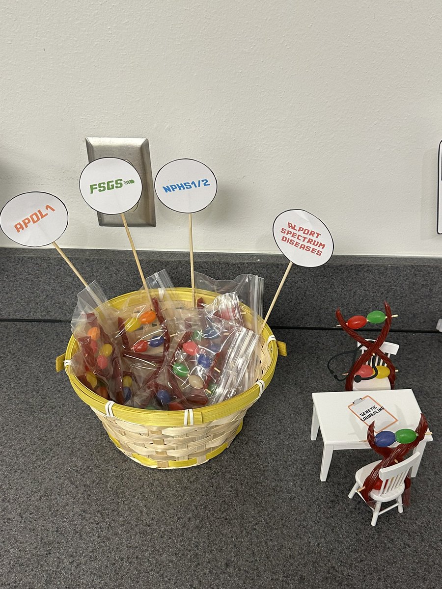 UTSWNephrology's tweet photo. UTSW Cool Beans @NephMadness Party Part 1! 
Regions discussed today:
Genetics 🧬 
CAR-T 🚗
Hemodialysis
Green House 🌿 https://t.co/zEDAIf3iac