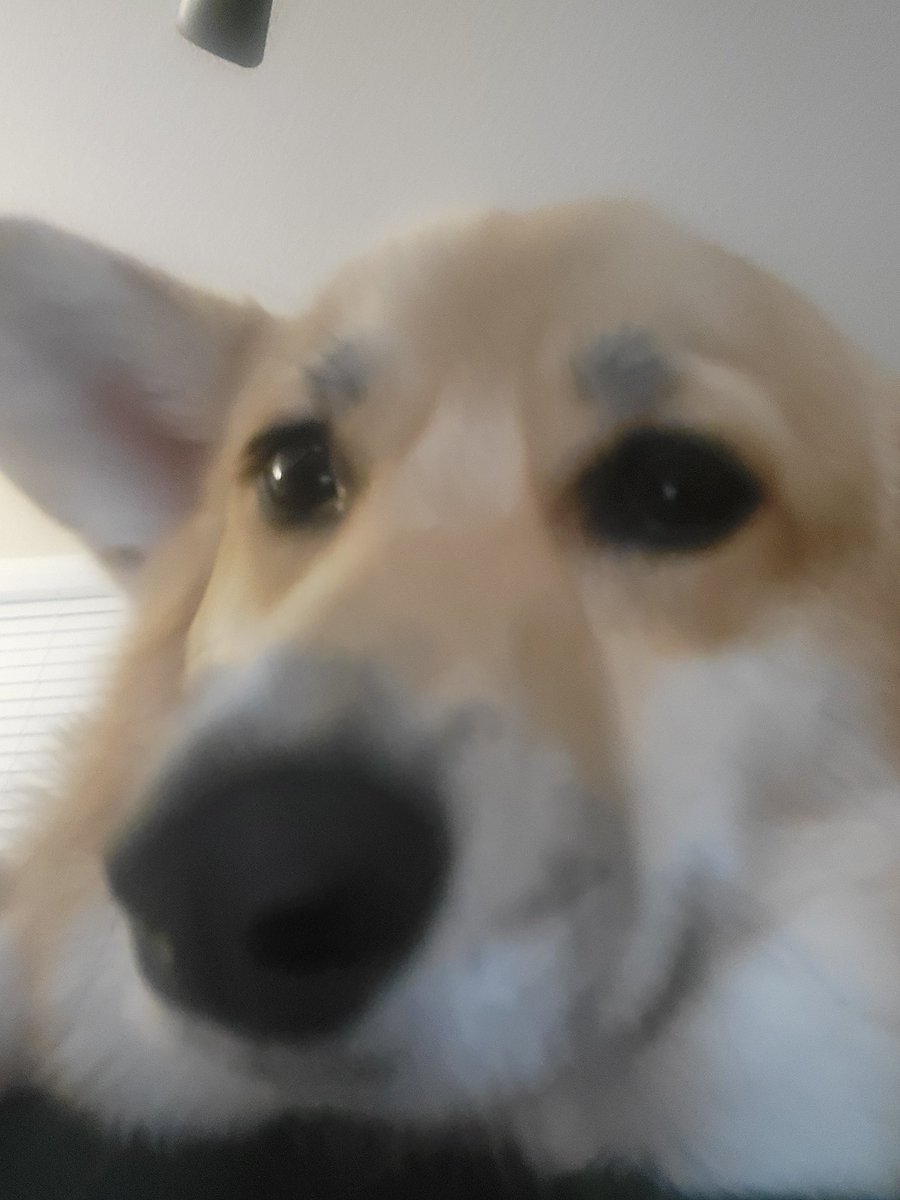 Double chinned up on a Thursday