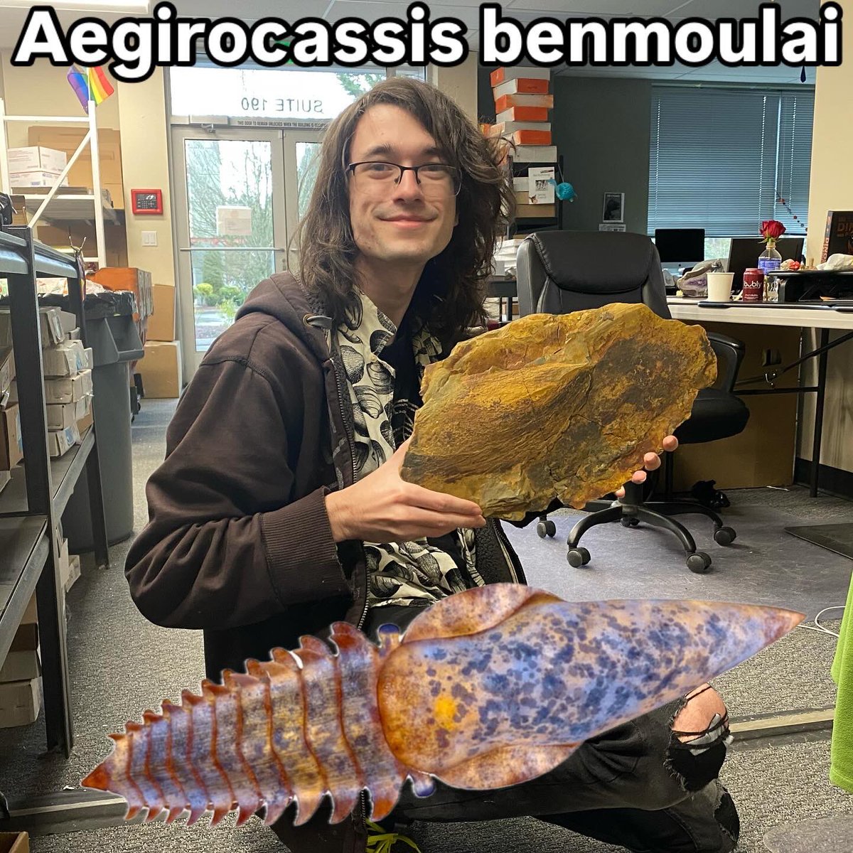 BrennanThePaleoDude tweet media