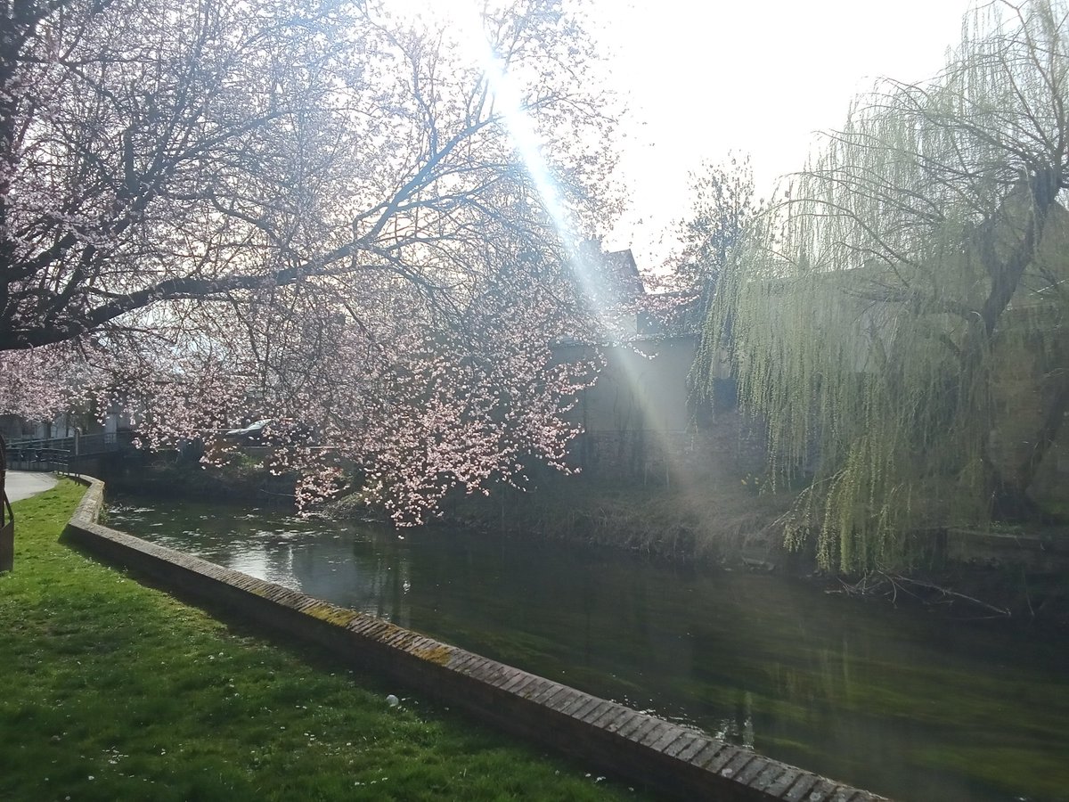 Ludovic Guénet 雷 tweet media