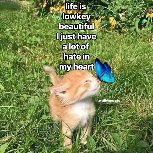 literallymecats's tweet photo. https://t.co/t1eAPkhLZM