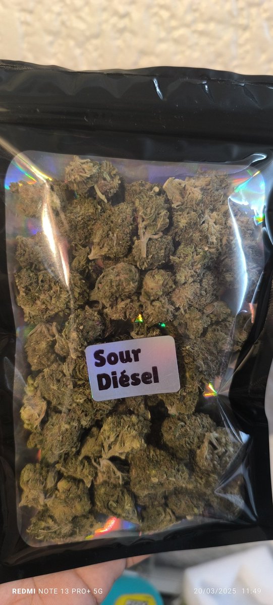VAMOS A VER SI A ESTA SI LLEGAN 

Se va de REGALO 🎁 🎁 🎁 🎁 🎁 🎁
Al llegar a #50RT

1 ONZA DE SOUR DIESEL

Solo debes de compartir esta publicación, darle me gusta y comentar un 🚬

Entre más actividad tengas mas te ayuda el algoritmo

SE REALIZARA LA RIFA HASTA LLEGAR A #50RT
