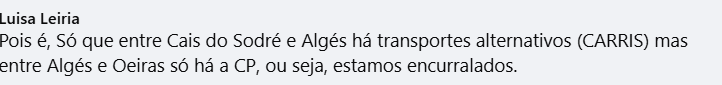 JoãoPedroPincha tweet media