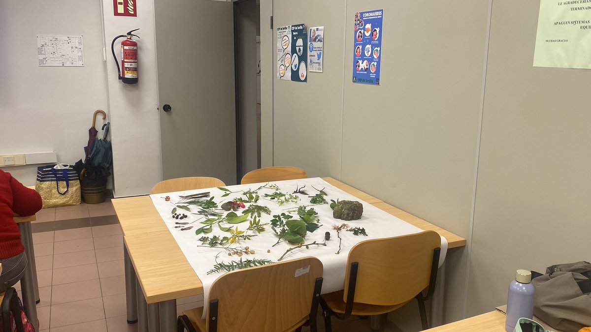 Emma M S Asesora CT (@emmacepsevilla) on Twitter photo “Ceguera vegetal: como hacer la Botanica entretenida” en nuestras aulas en el <a href="/CEPdeSevilla/">CEP de Sevilla</a> con <a href="/BioJairo/">Jairo Robla</a> en el curso Reconectamos con el medio natural en entornos urbanos <a href="/FormacProfAnd/">Servicio de Planes de Formación</a> “Ceguera vegetal: como hacer la Botanica entretenida” en nuestras aulas en el <a href="/CEPdeSevilla/">CEP de Sevilla</a> con <a href="/BioJairo/">Jairo Robla</a> en el curso Reconectamos con el medio natural en entornos urbanos <a href="/FormacProfAnd/">Servicio de Planes de Formación</a>