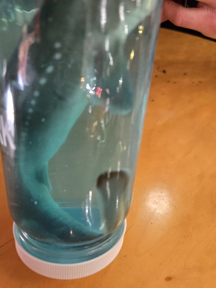 Men_r_h0t's tweet image. Meet George