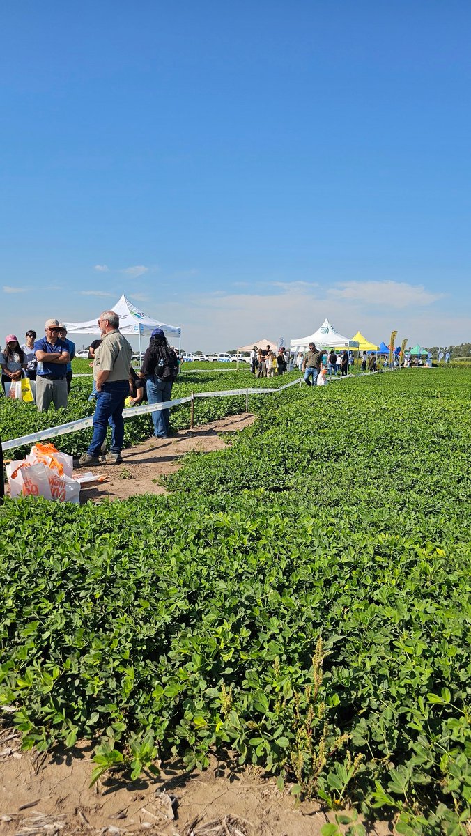 camilailla's tweet photo. Jornada a Campo de biofertilizantes y controladores biológicos @fcaunc https://t.co/NhUds73Lwy