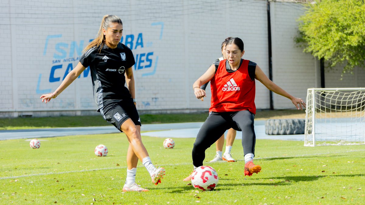 🐯👊🏼 𝑨𝑵𝑰𝑪𝑹𝑨𝑪𝑲.