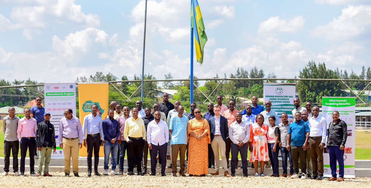 Rwanda Council of Veterinary Doctors (@rwandavets1) on Twitter photo Earlier this week,we joined <a href="/RwandaAgriBoard/">Rwanda Agriculture & Animal Resources Devpt Board</a>,District Animal res officers,#VSM company Managers of 7 districts in a consultation meeting on #RwaNovIA Project which is set to📈 ultra-sound scanner use in early reproductive audit (obstetrics & gynecology ) #CEVA #IMVtechnologies. Earlier this week,we joined <a href="/RwandaAgriBoard/">Rwanda Agriculture & Animal Resources Devpt Board</a>,District Animal res officers,#VSM company Managers of 7 districts in a consultation meeting on #RwaNovIA Project which is set to📈 ultra-sound scanner use in early reproductive audit (obstetrics & gynecology ) #CEVA #IMVtechnologies.