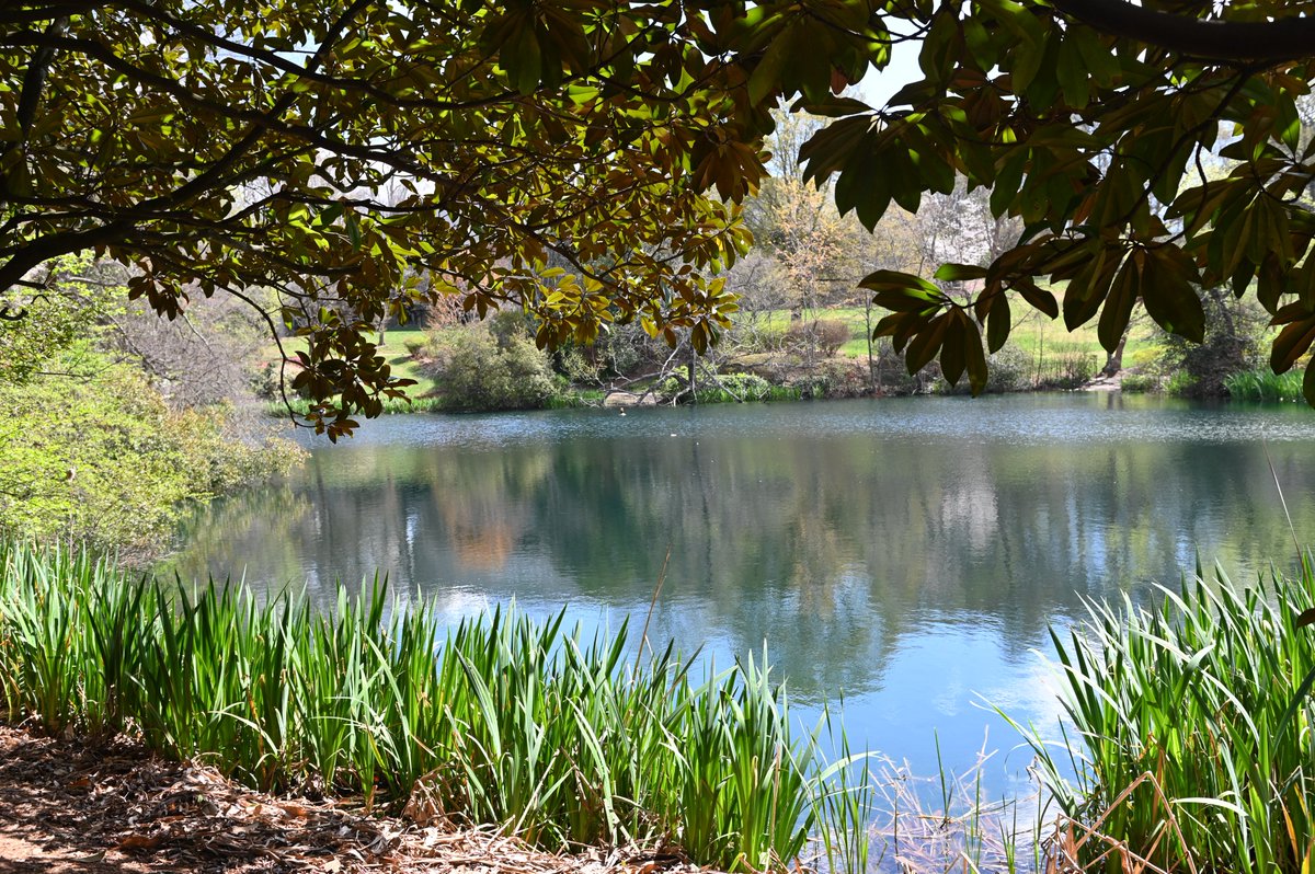 The Carter Center tweet media