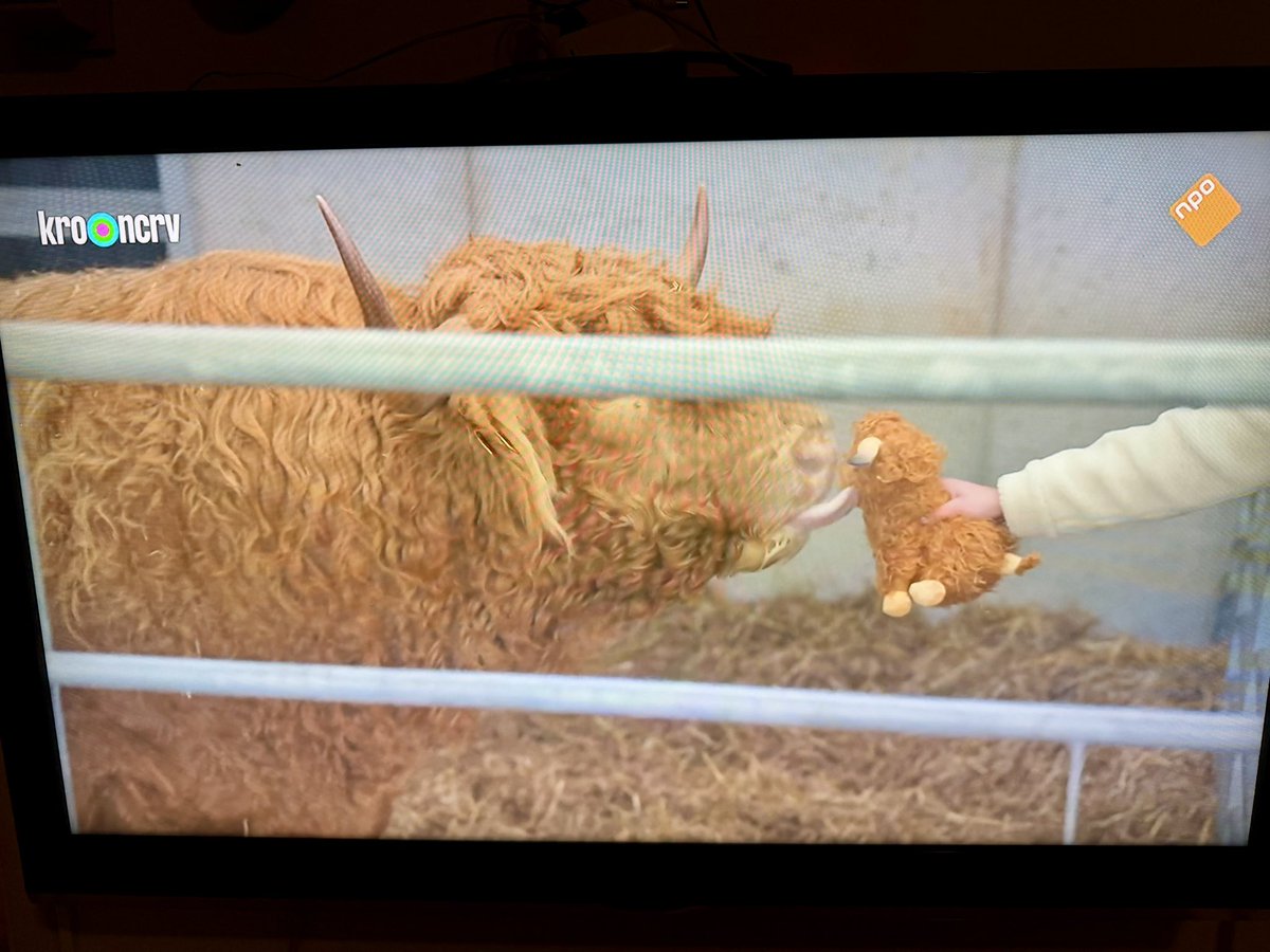 Dit ❤️😢 #boerzoektvrouw