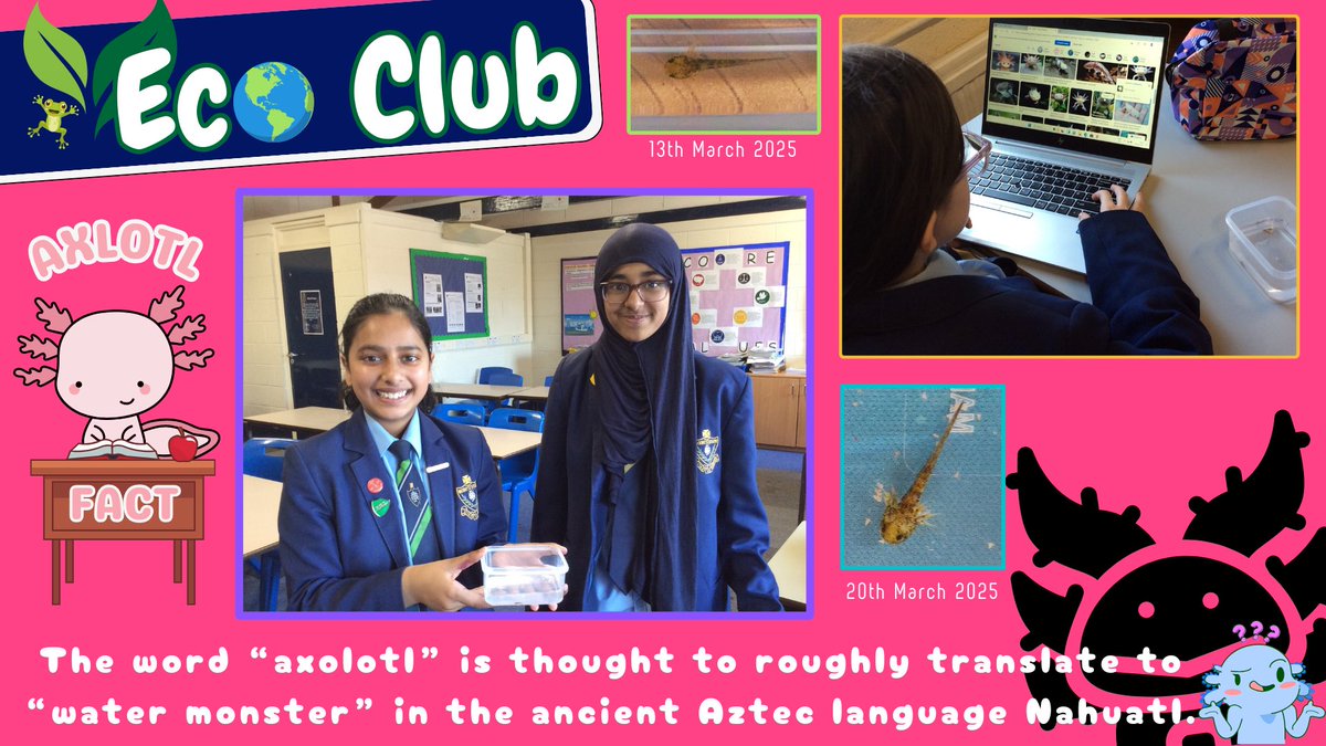 MSJ Science tweet media