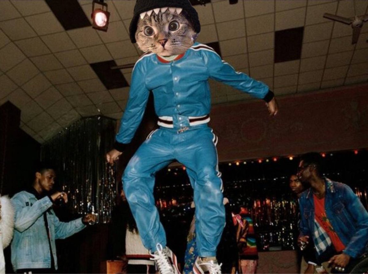 ttttribe71350's tweet image. $SC #SHARKCAT 24/7