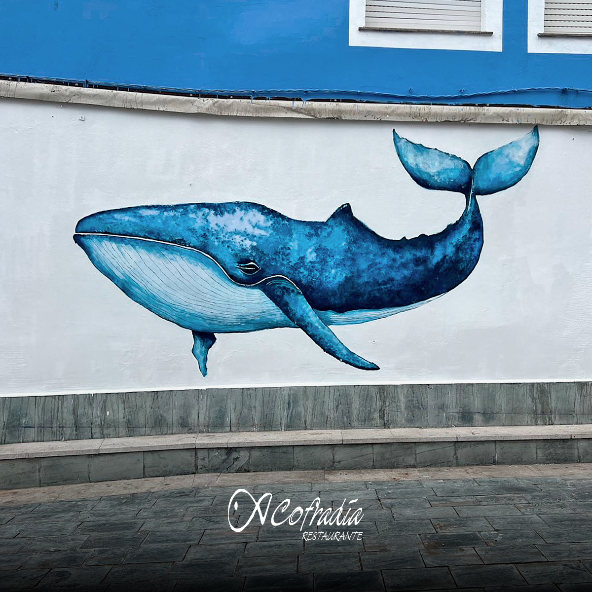Ola primavera!

Que vos parece o noso mural situado na terraza?

💙💙💙

¡Hola primavera!

¿Qué os parece nuestro mural ubicado en la terraza?
