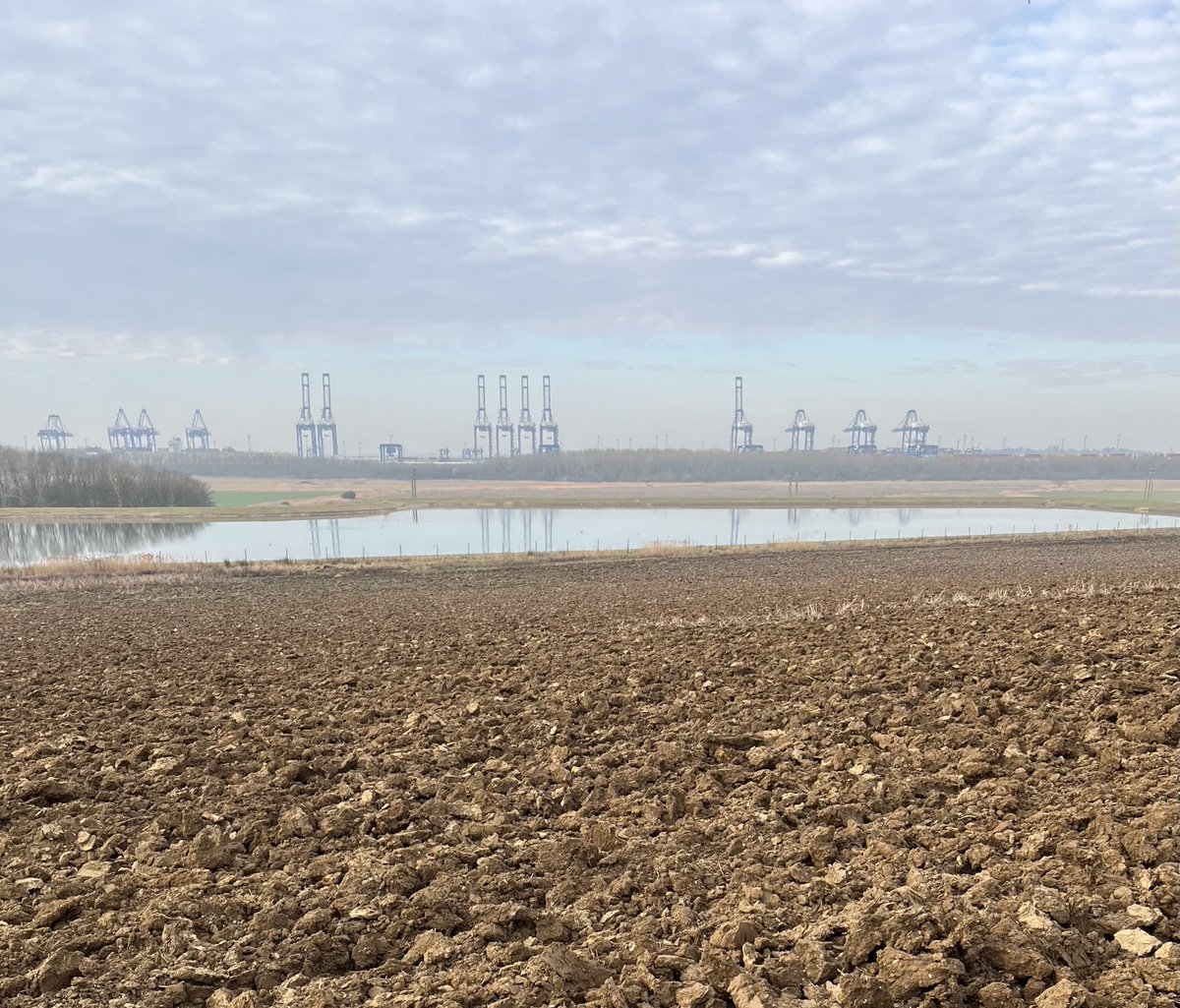 Andrew Francis (PFIAgrM. ARAgS) (@andrewf1882) on Twitter photo Pondering land prep today out on the marshes <a href="/HomeFarmNacton/">Home Farm (Nacton)</a> today. Can’t help thinking a nice shower of rain wouldn’t go amiss. Pondering land prep today out on the marshes <a href="/HomeFarmNacton/">Home Farm (Nacton)</a> today. Can’t help thinking a nice shower of rain wouldn’t go amiss.