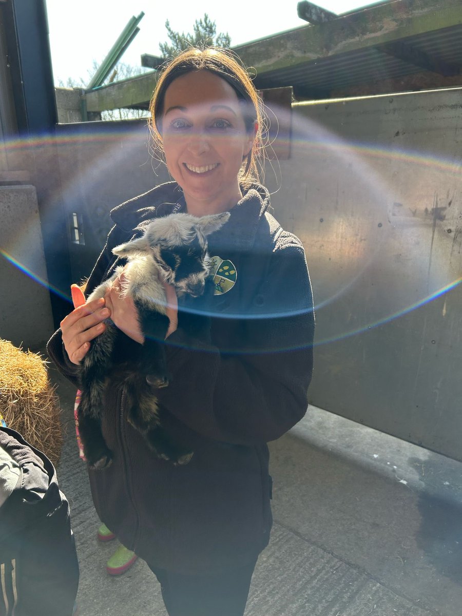 GCPSReception's tweet image. Reception have had the best day @WhitehouseFarm_. We even got to meet the farms very own Dan Burn 🐐! @GreenfieldsCPS