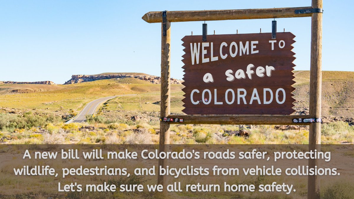Rebecca Theim (@rebeccatheim) on Twitter photo The Colorado legislature's "Funding for Motor Vehicle Collision Prevention" bill (HB25_1303) would reduce wildlife-vehicle collisions, saving lives and money. <a href="/pewenvironment/">Pew Environment</a> is part of a broad coalition supporting the bill. Check out the news release: coloradowta.com/hb251303-press… The Colorado legislature's "Funding for Motor Vehicle Collision Prevention" bill (HB25_1303) would reduce wildlife-vehicle collisions, saving lives and money. <a href="/pewenvironment/">Pew Environment</a> is part of a broad coalition supporting the bill. Check out the news release: coloradowta.com/hb251303-press…