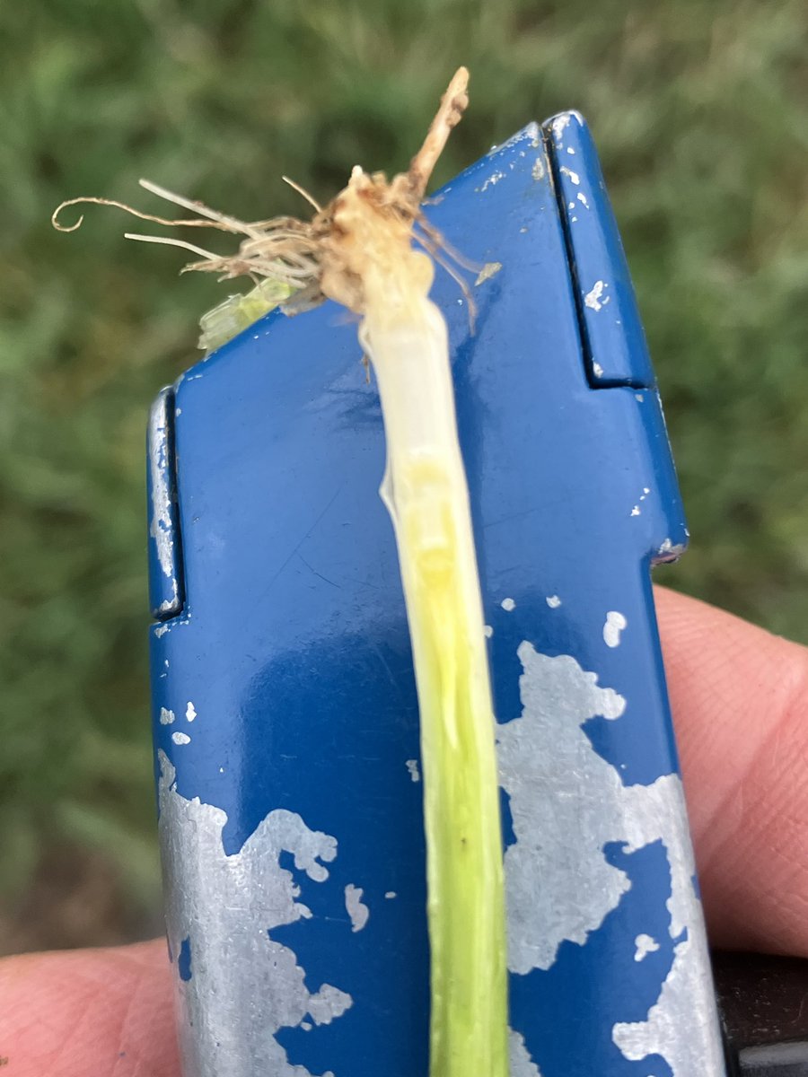 Colin Patrick tweet media